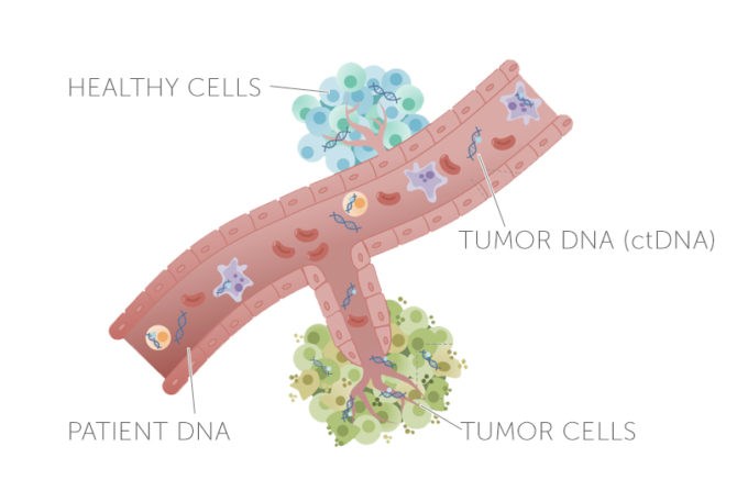 schematic of ctDNA in pediatric solid tumors