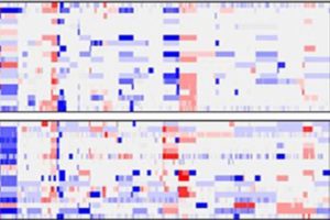 medulloblastoma genomics subtypes