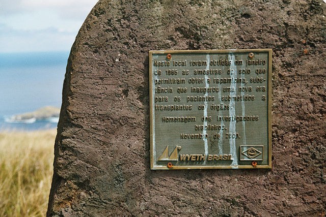rapamycin plaque on Easter Island