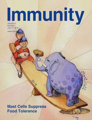 Immunity journal cover food tolerance