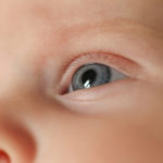 a baby's eye - what does babysee?