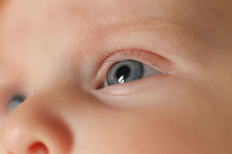 a baby's eye - what does babysee?