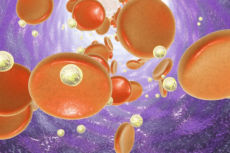 nanoparticles in blood