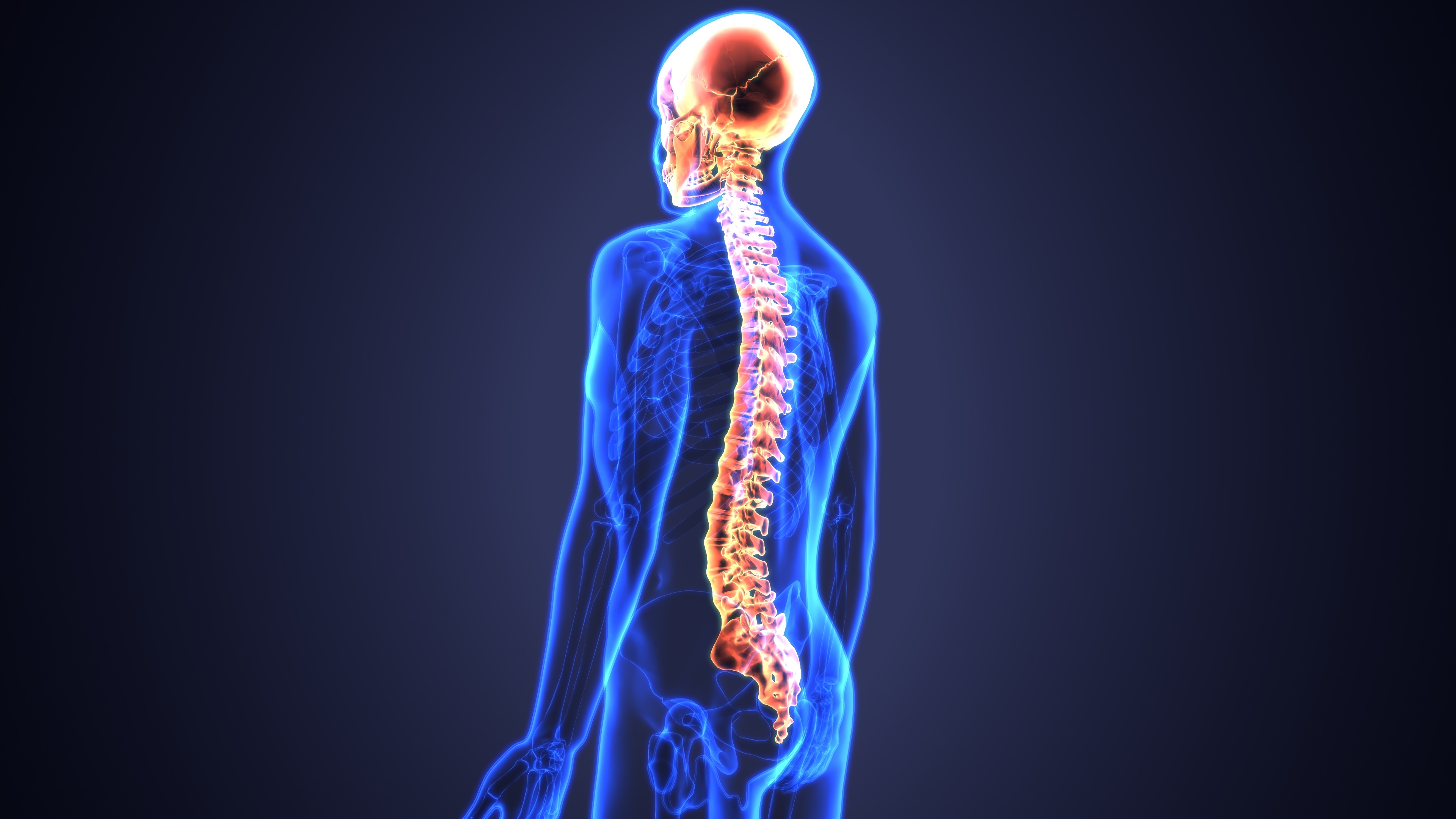 MRI of the brain and spinal cord - Uses of MRI Tests