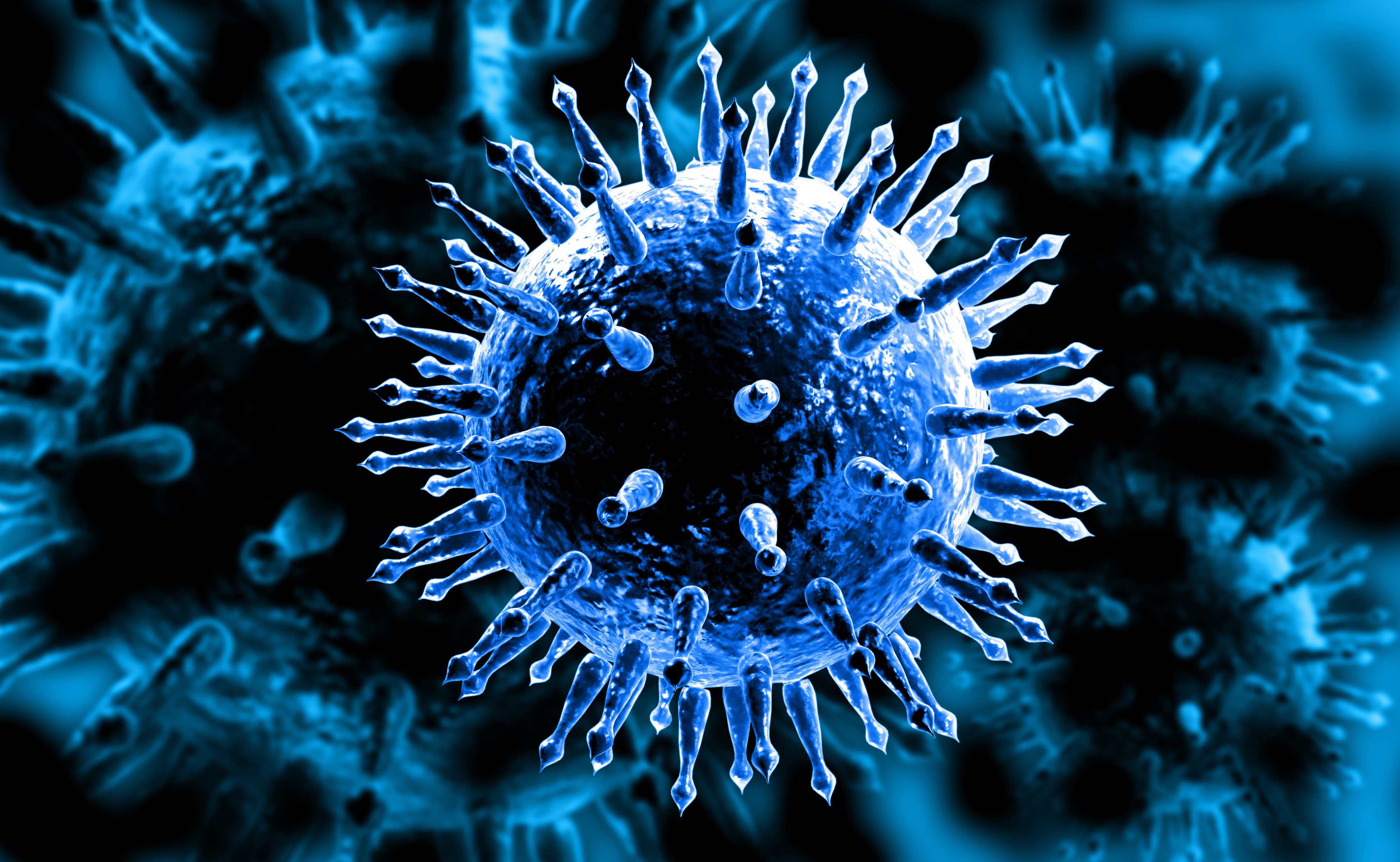 Image of the influenza virus