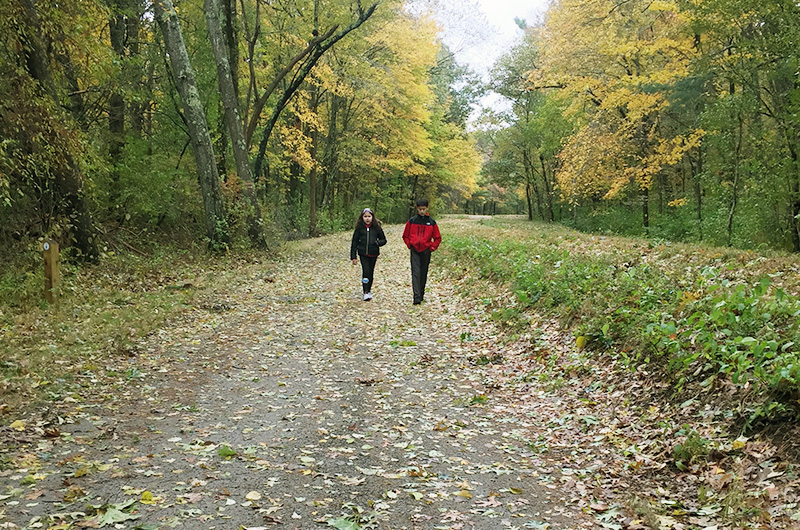 rebecca walks with her brother in the woods as she recovers from stroke