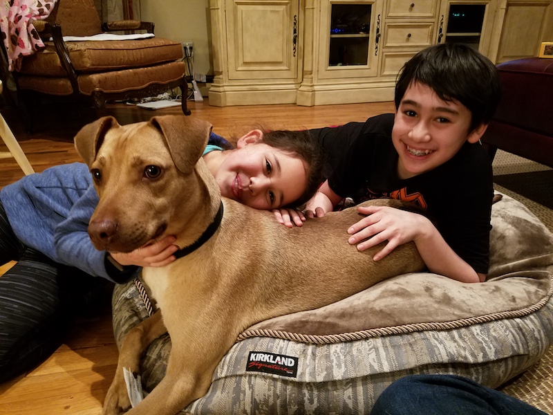 girl with pediatric stroke poses with her dog