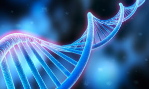 Image of DNA double helix