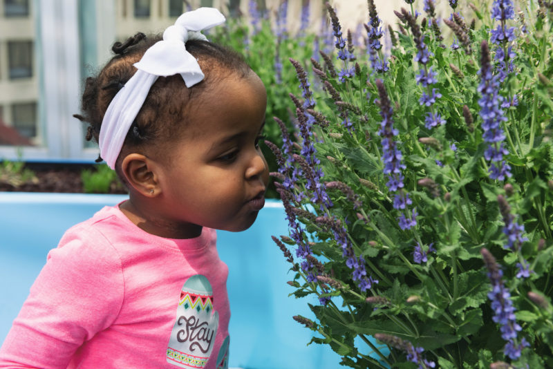little girl with cdh smells flowers
