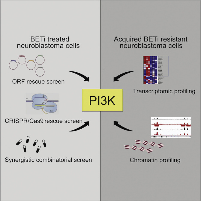 PI3K can overcome neuroblastoma resistance to BET inhibitors