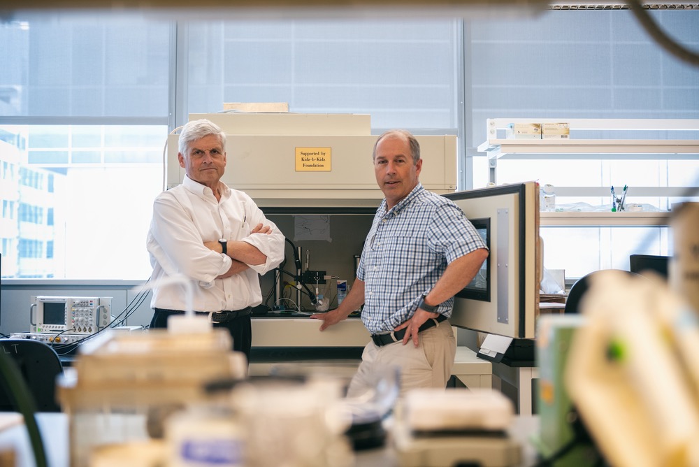 David Corey and Jeffrey Holt performed CRISPR editing to avert hearing loss in mice.