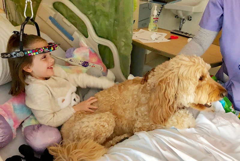 Gracie receives a visit from a therapy dog before spinal fusion surgery. 