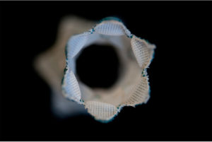 Photo of a Melody valve