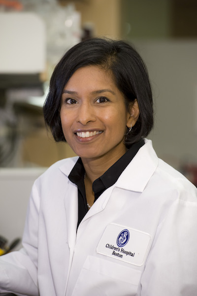 Sudha Biddinger, metabolic syndrome researcher