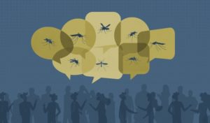 EEE guide: answers to all your questions