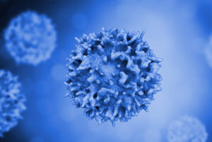 T cell multiple sclerosis