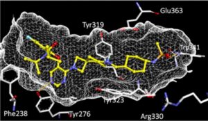 VTP50469, an experimental agent for MLL-rearranged leukemia