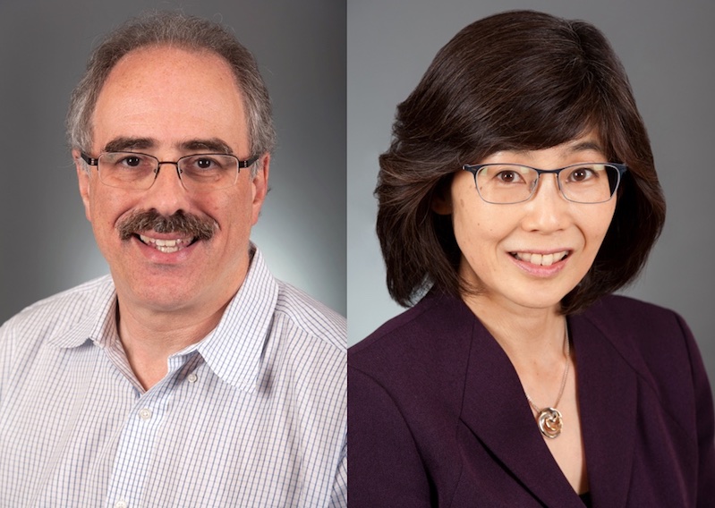 Leonard Zon and Akiko Shimamura hope that the antipsychotic trifluoperazine can help in Diamond-Blackfan anemia