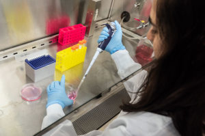 Asimenia Angelidou pipetting BCG vaccine