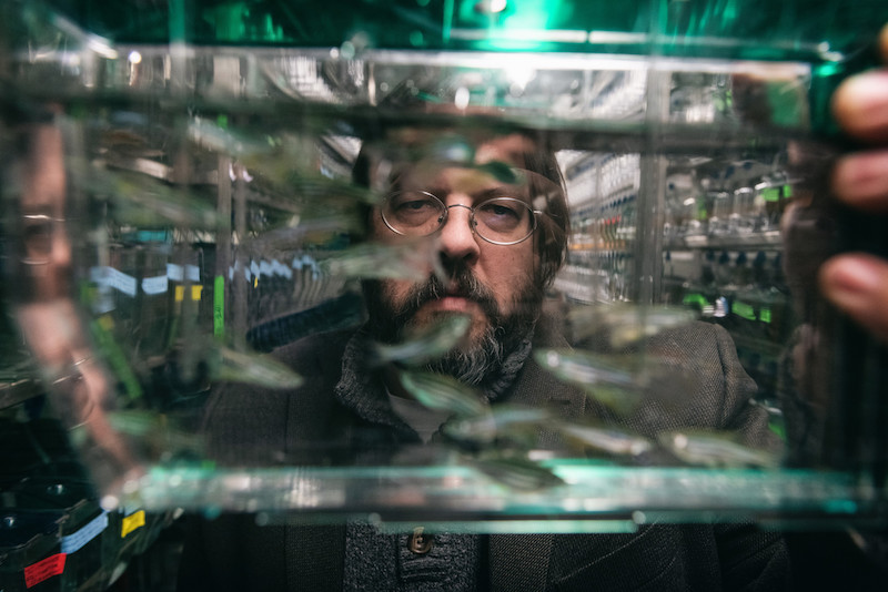 Matthew Harris studies a variety of skeletal disorders in fish