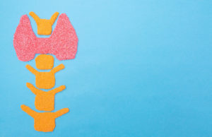 illustration of thyroid gland
