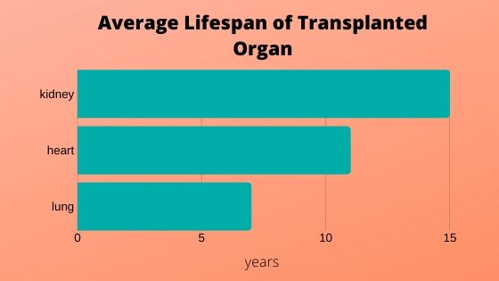 bar graph of transplantation lifespan of kidney, heart and lung organs
