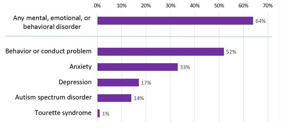 Chart listing prevalence of ADHD and other conditions
