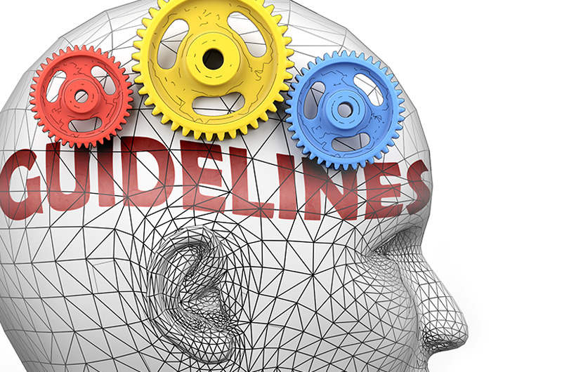 graphic of head with gears and the word guideline