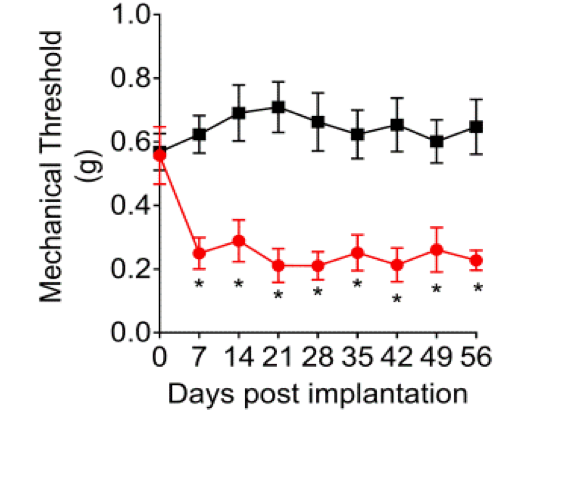 graph showing the difference in pain response between control mice and endometriosis mice from Fattoli, et al in journal Pain.

