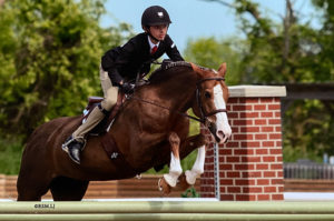 jack, who has cerebral palsy, jumps his horse at a competition