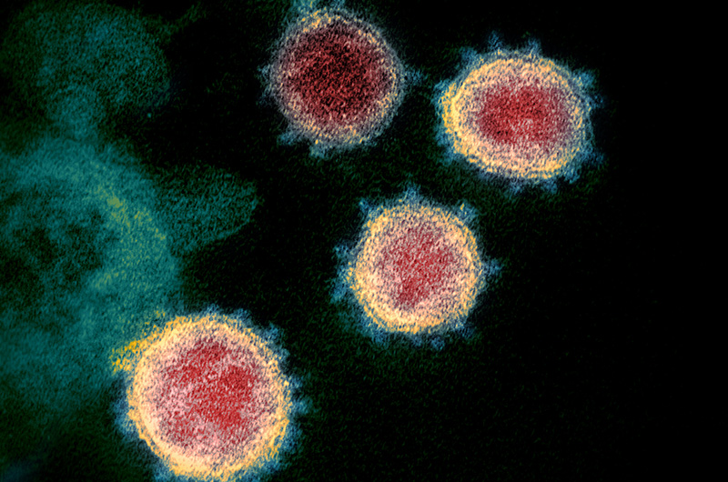 coronavirus particles