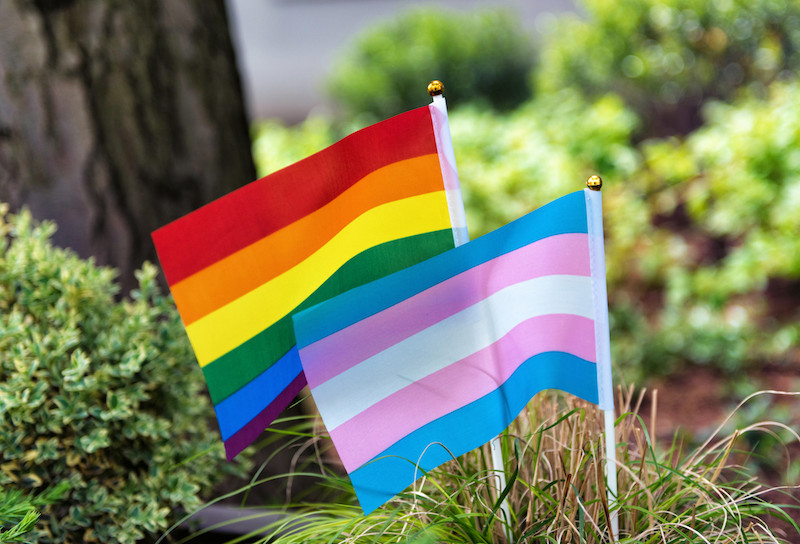the pride and transgender flags