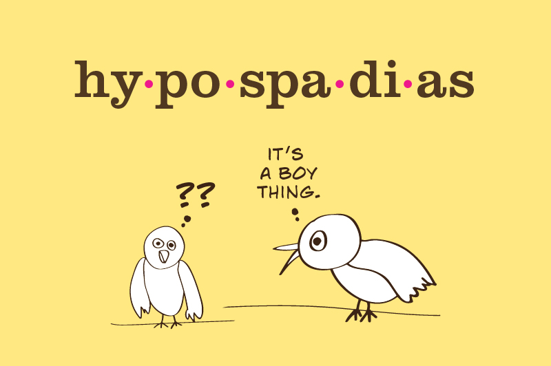 cartoon birds with a definition of hypospadias that reads "it's a boy thing"