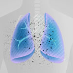 lungs with drug coming in