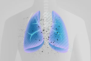 lungs with drug coming in