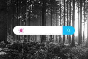Lyme disease internet search concept