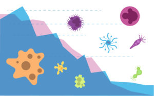 illustration of various germs superimposed over a declining graph