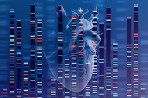 cardiovascular genetics