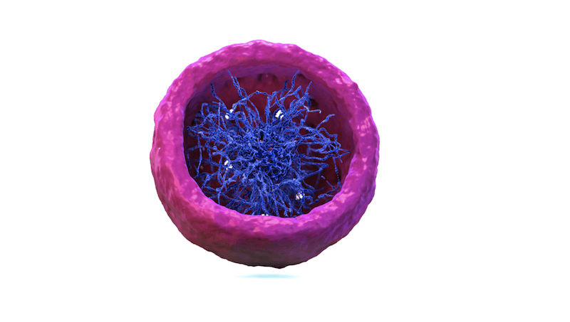Artist’s rendering of chromatin, which is housed inside the nuclei of mammalian cells.