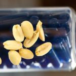 fecal microbiota transplant for peanut allergy concept