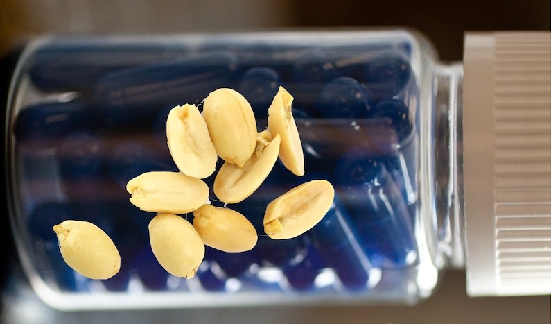fecal microbiota transplant for peanut allergy concept