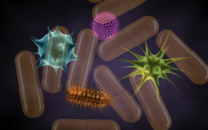 fecal transplant concept