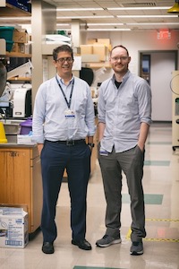 Ofer Levy and David Dowling in lab. credit: Michael Goderre, Boston Children's