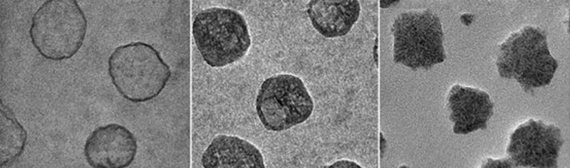 Nanolipogels of different stiffness, as seen through a transmission electron microscope.