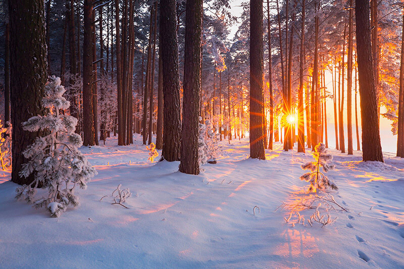 photo of the sun rising over a snowy, tree-filled landscape