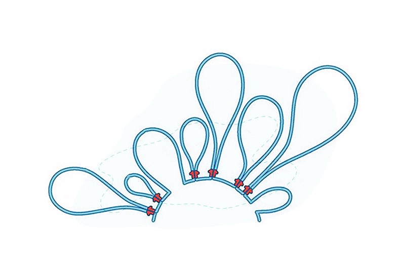 illustration of chromatin loops