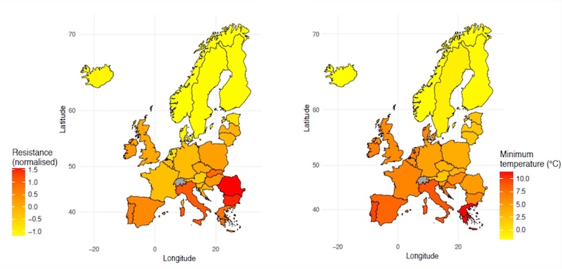 antibiotic resistance vs temperature in Europe