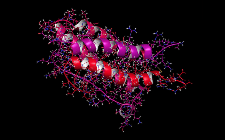 erythropoietin molecular structure