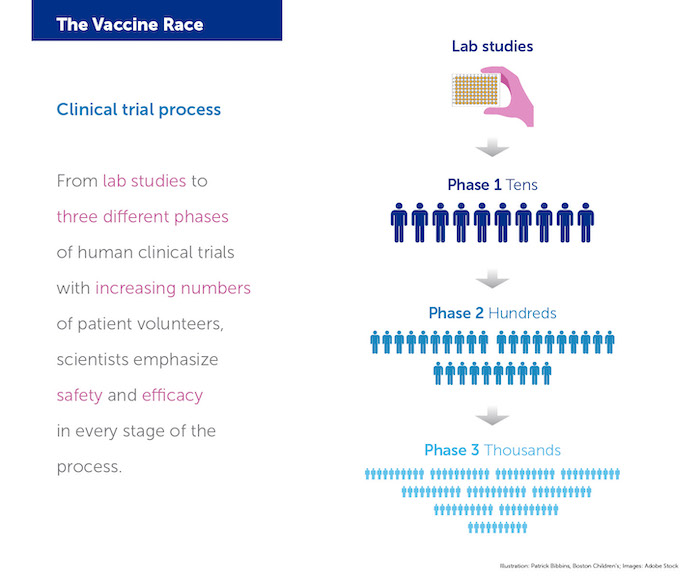 From lab studies to three different phases of human clinical trials with increasing numbers of patient volunteers, scientists emphasize safety and efficacy in every stage of the process