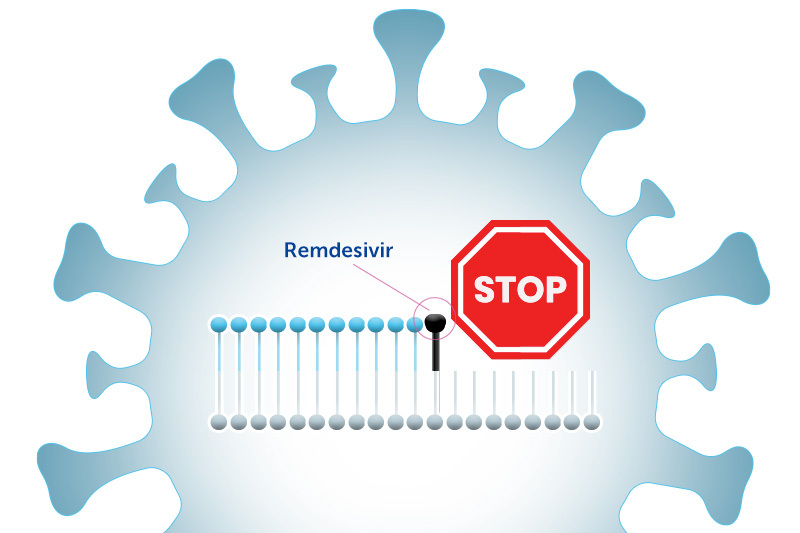 remdesivir works by stopping viral replication